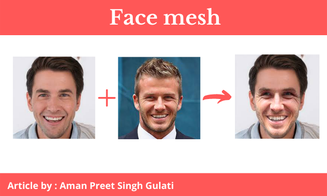 face mesh - Face Mesh Application